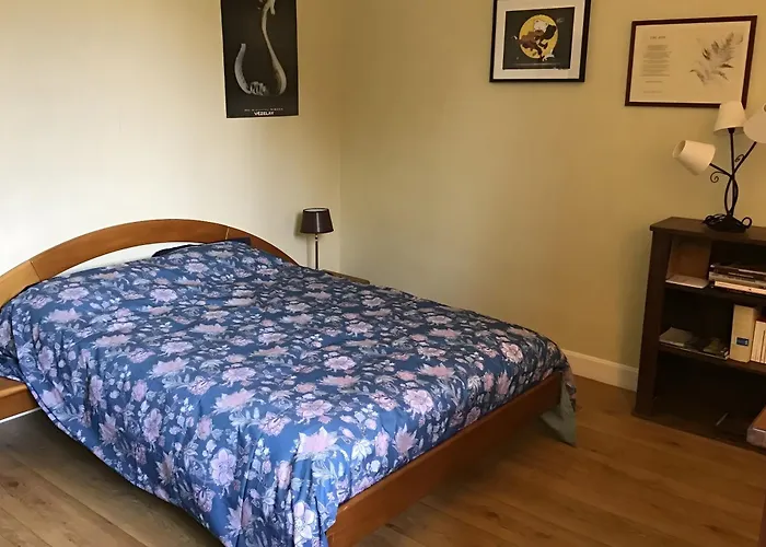 La Maison Du Chambon